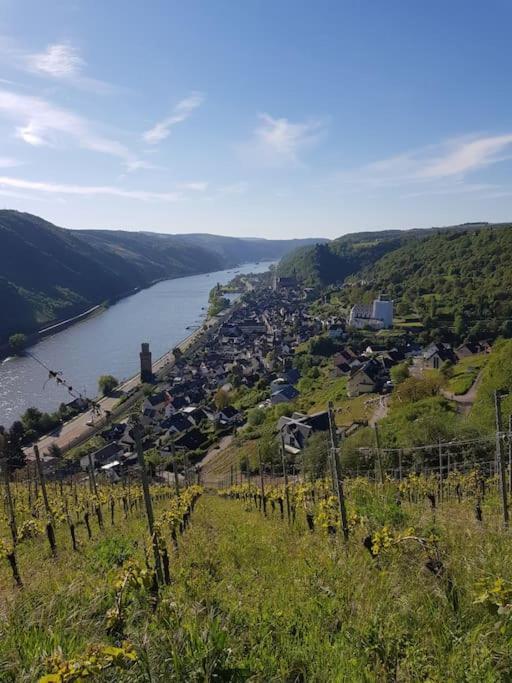 Wohnen Am Schoenen Mittelrhein Weltkulturerbe Oberwesel Kültér fotó